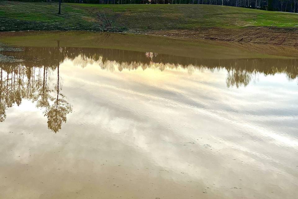 Pond at venue site