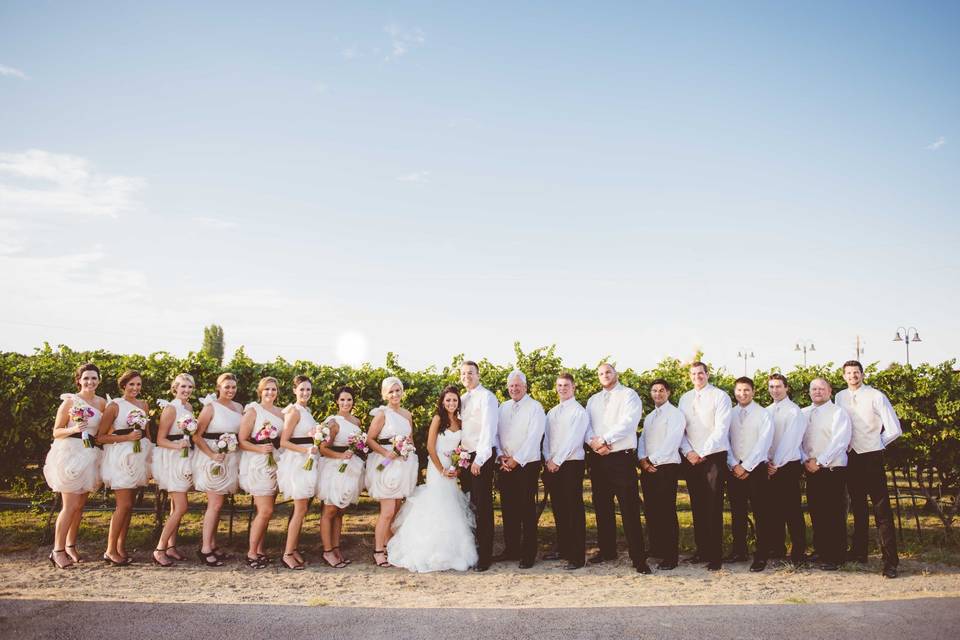 The couple with the bridesmaids and groomsmen