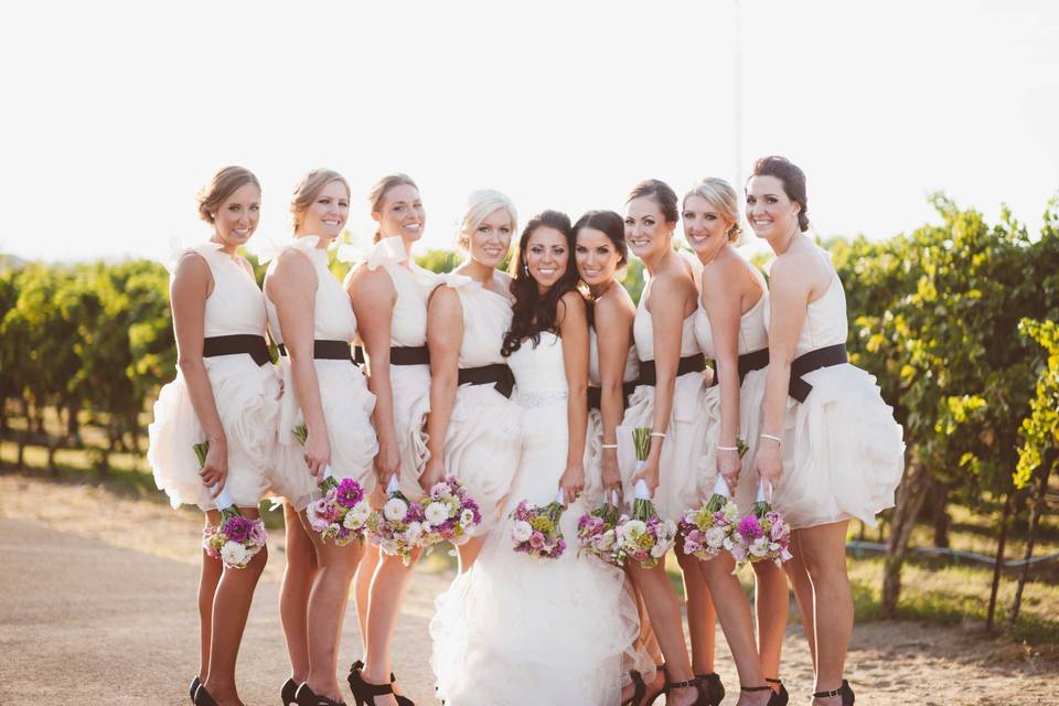 The bride with her bridesmaids