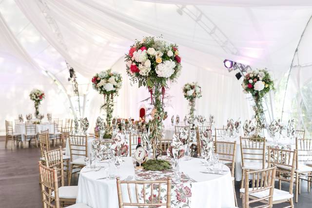 Party Tent, Tables, and Chairs