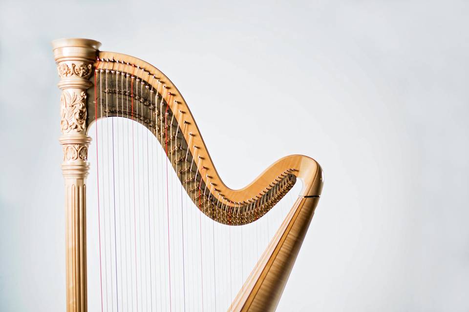 Carolyn Munford's harp