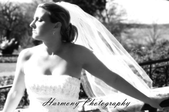 Harmony Photography