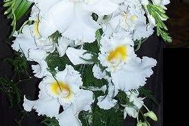 Orchids~Japhet, dendrobium, and cymbidium give this cascade bouquet style and grace