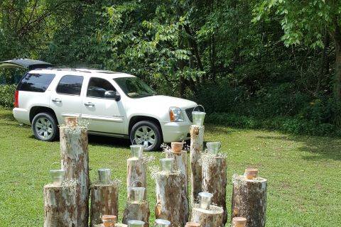 Stumps with candles