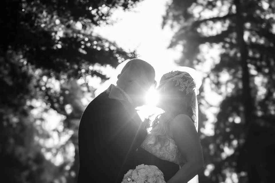 Wedding photography modesto