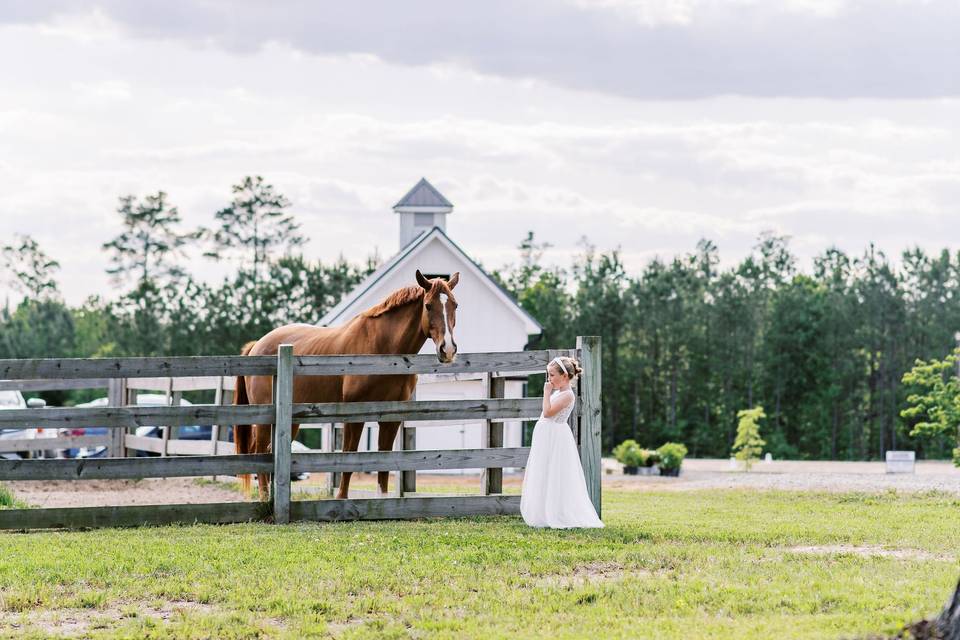 Horse resident