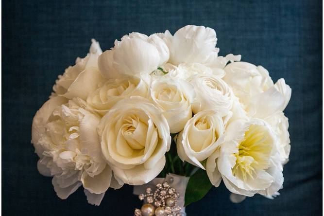 Carrie Holbo Photography