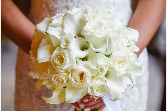 Carrie Holbo Photography