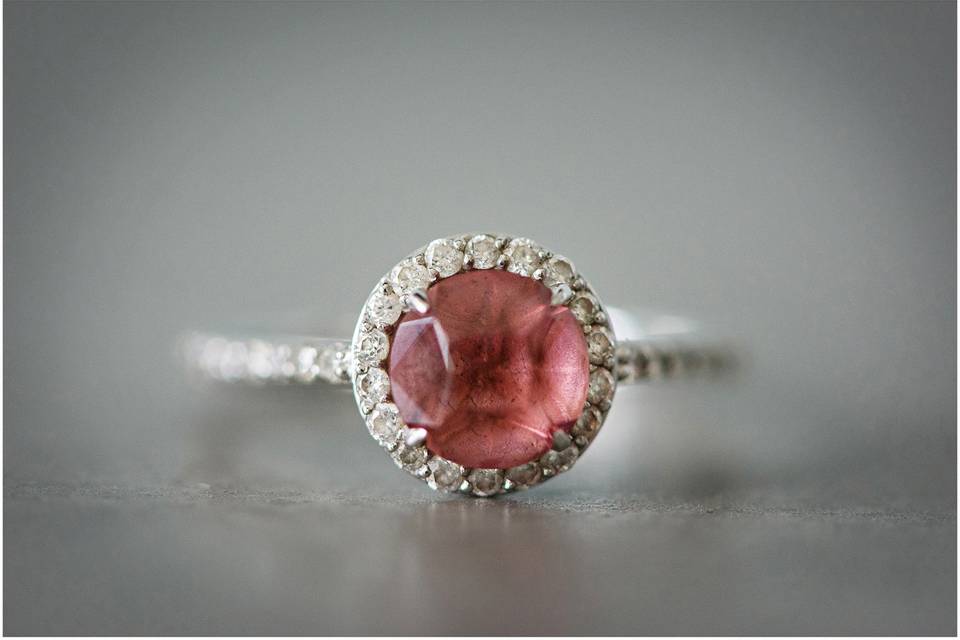 Carrie Holbo Photography
