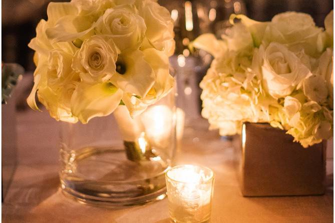 Carrie Holbo Photography