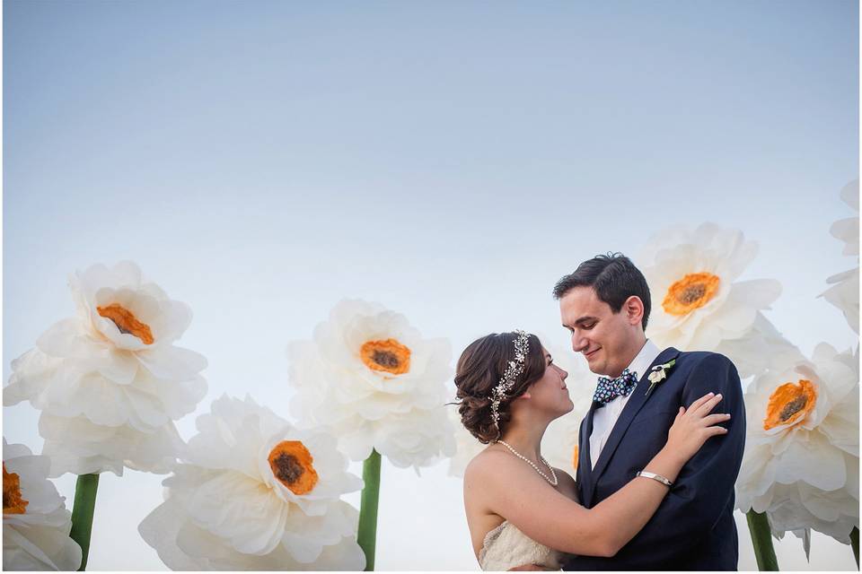 Carrie Holbo Photography