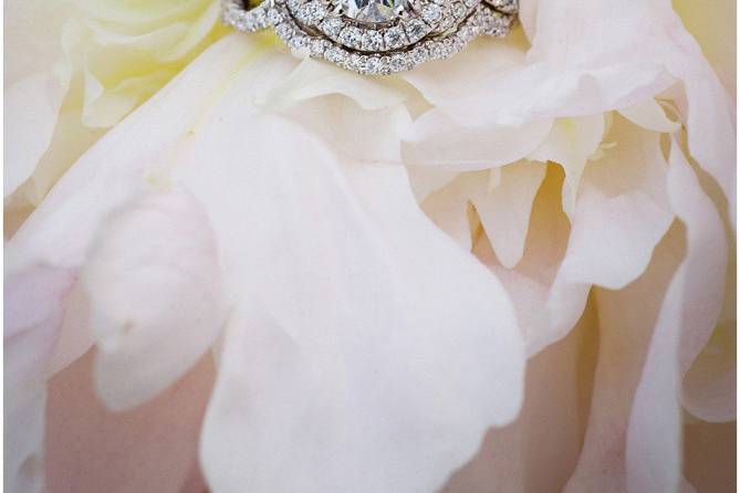 Carrie Holbo Photography