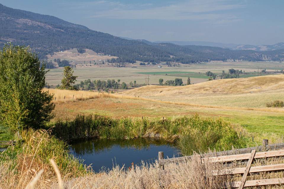 Pond View