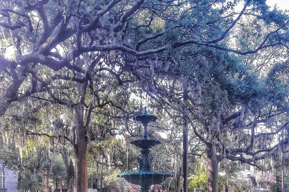 Savannah fountain