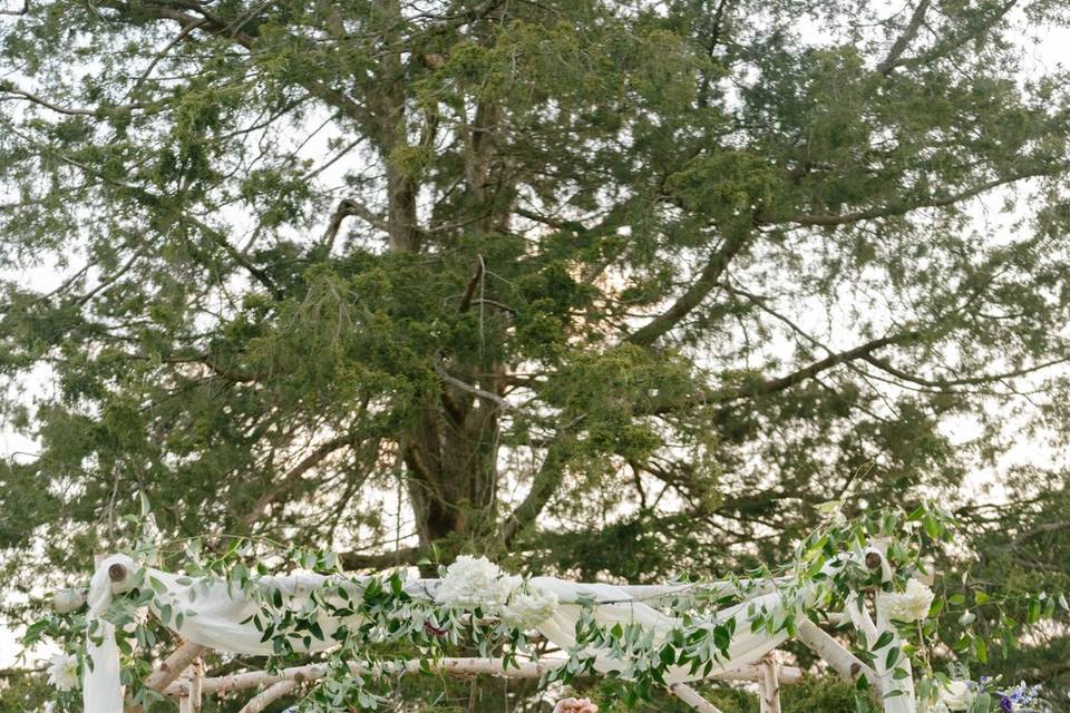 Clients in Nature