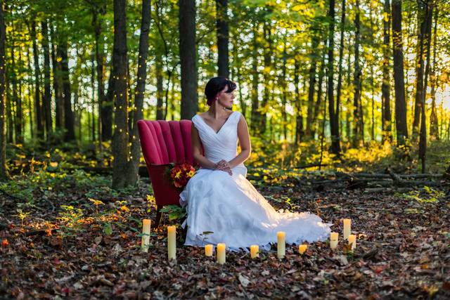 Elyse Steinbrecher Photography
