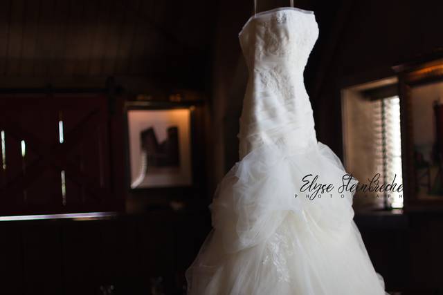 Elyse Steinbrecher Photography