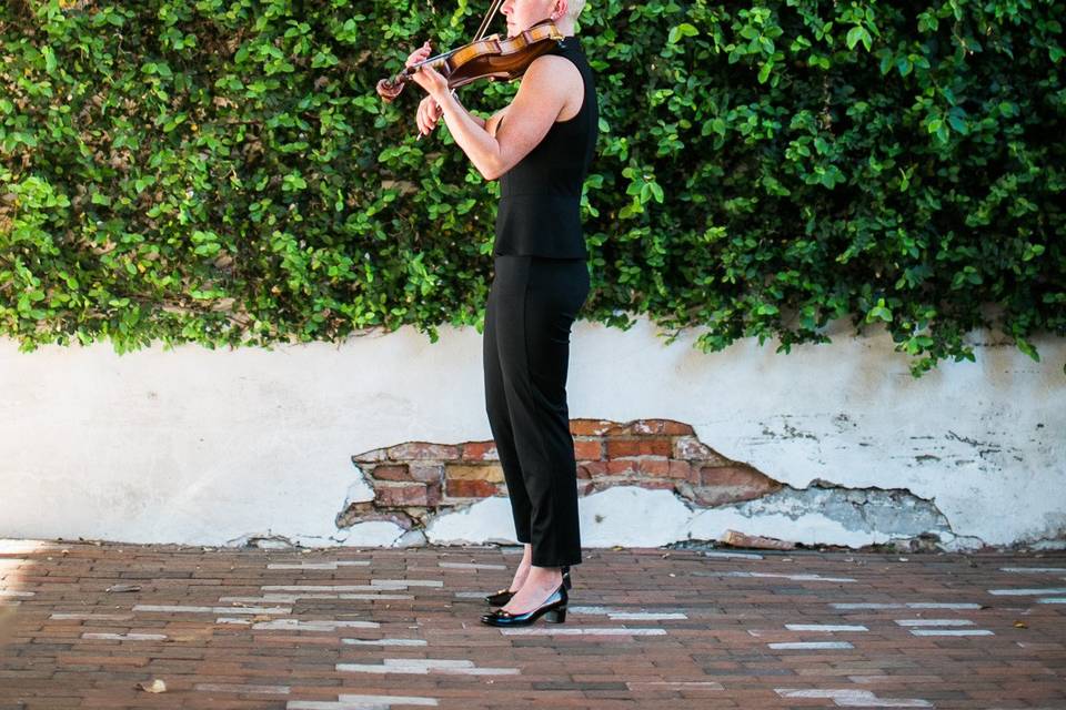 Wedding Violinist, Maura Kropke