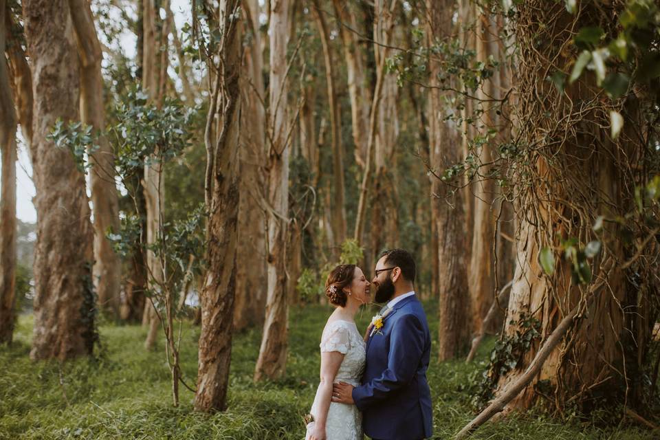 Eucalyptus Grove photos