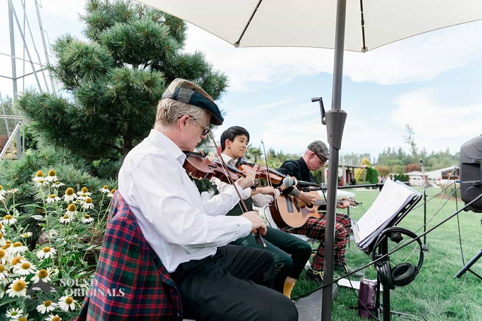Live music