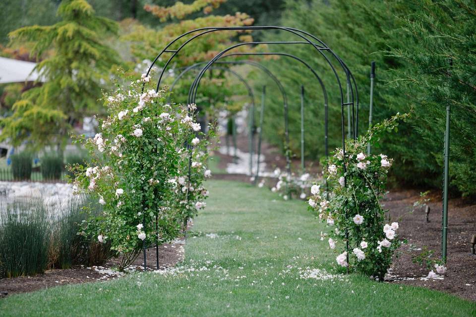 Rose Tunnel