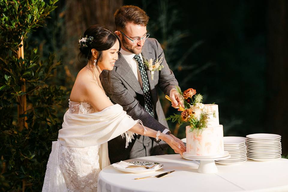 Cake cutting