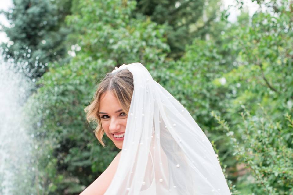 Bride and veil