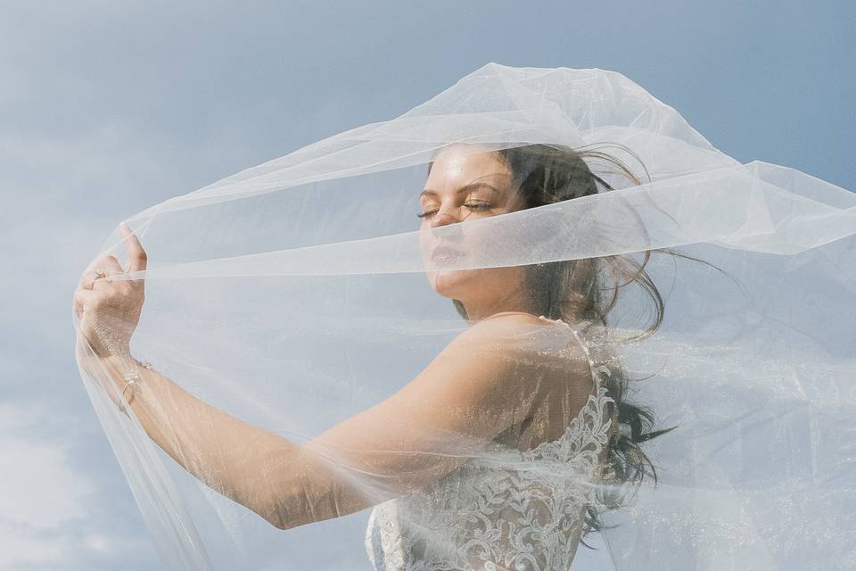 Bride and veil