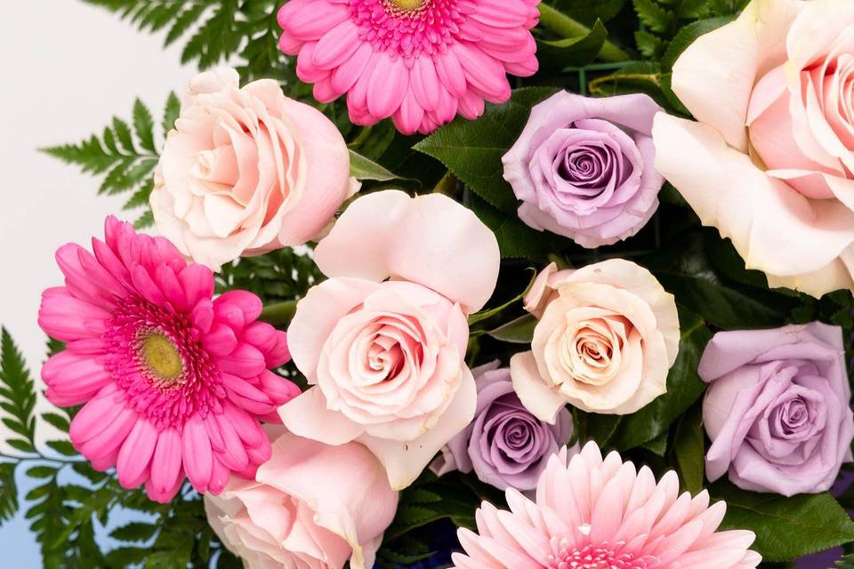Pretty pinks