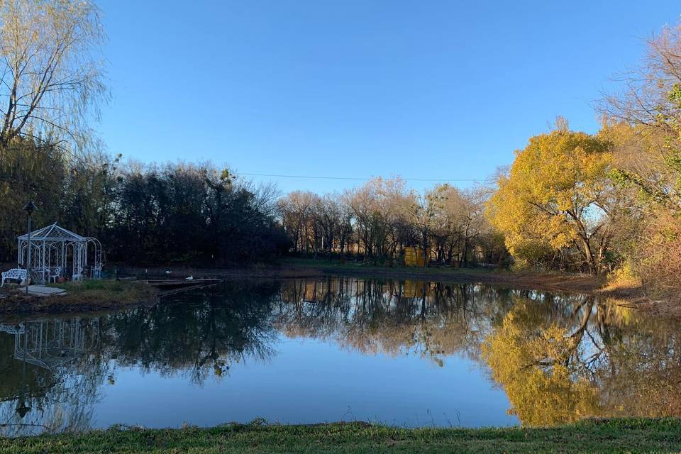 Pond views