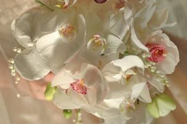 White flowers