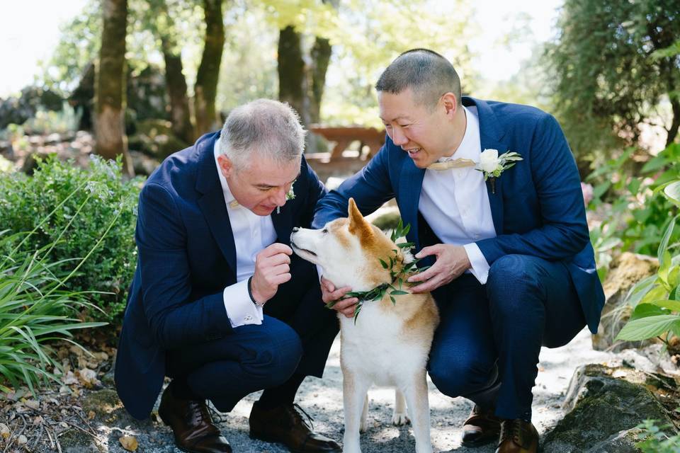 Floral pup collar & Grooms