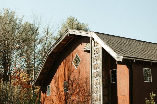 The Swan Barn Door