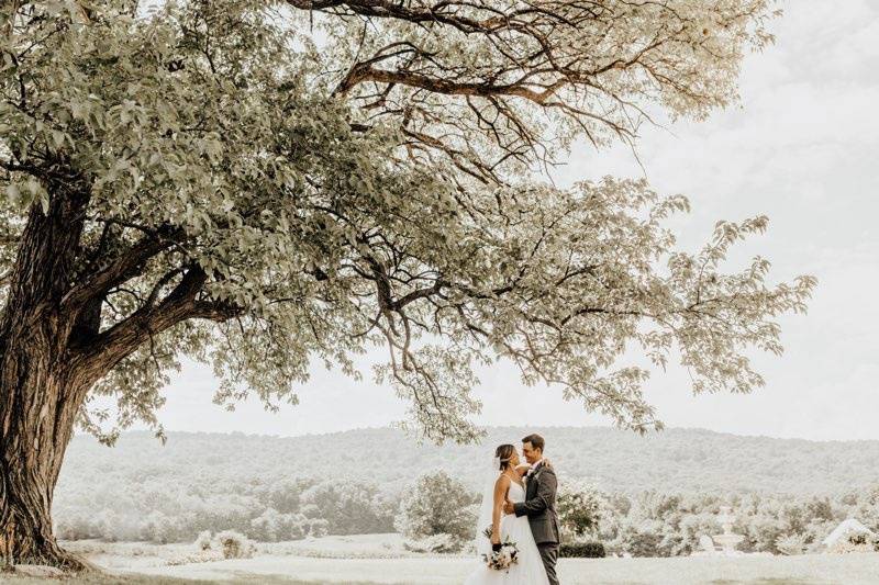 Vineyard Wedding@ breyphoto