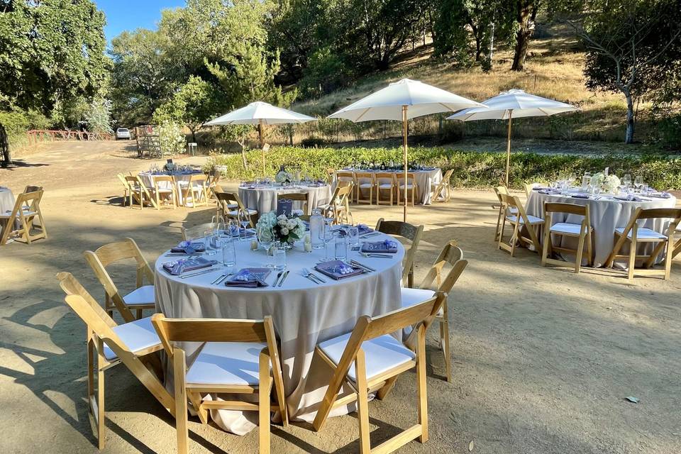 Ranch winery wedding