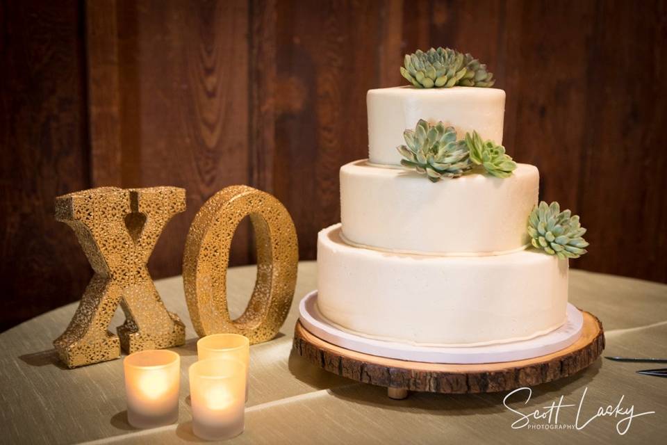 Simply succulents!