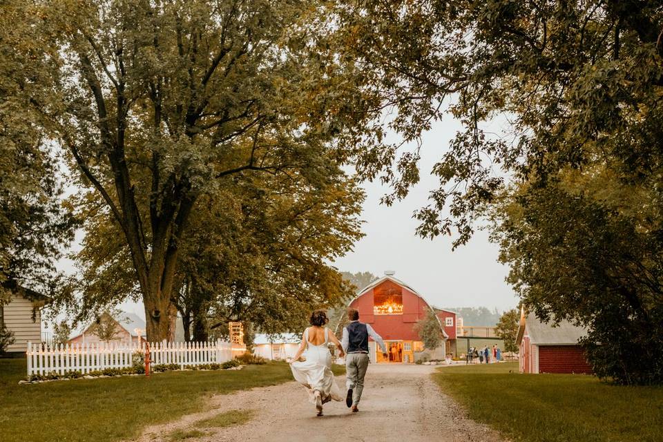 The Walk to the Barn.