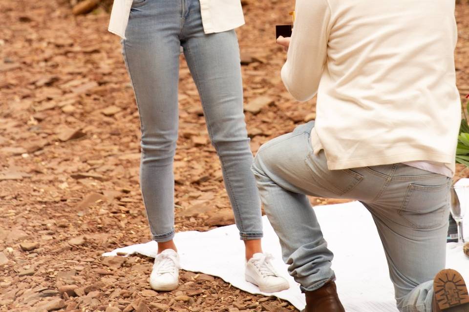 Engagement