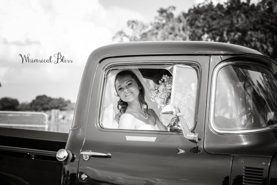 Whimsical Bliss Photography