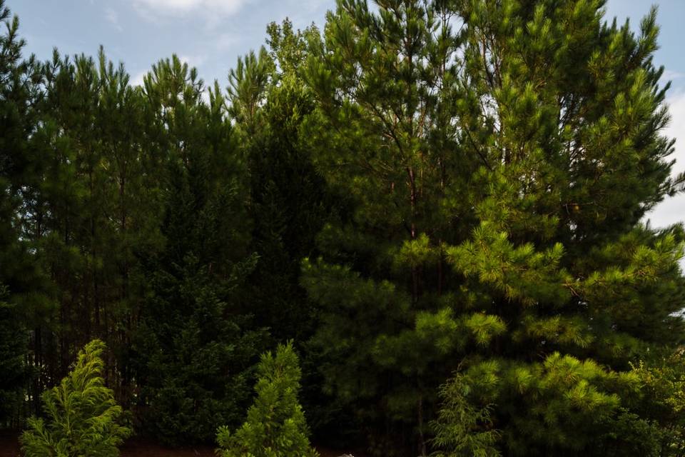 The Venue at Cherokee Valley
