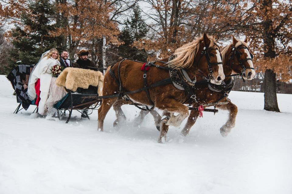 Wedding winter sleigh ride