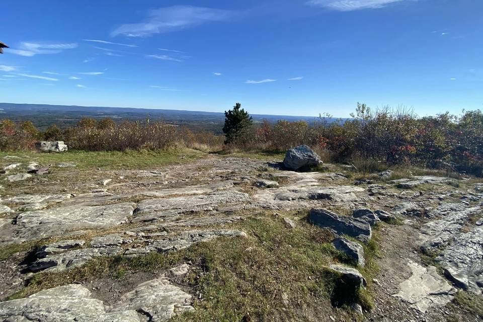 Stokes Forest