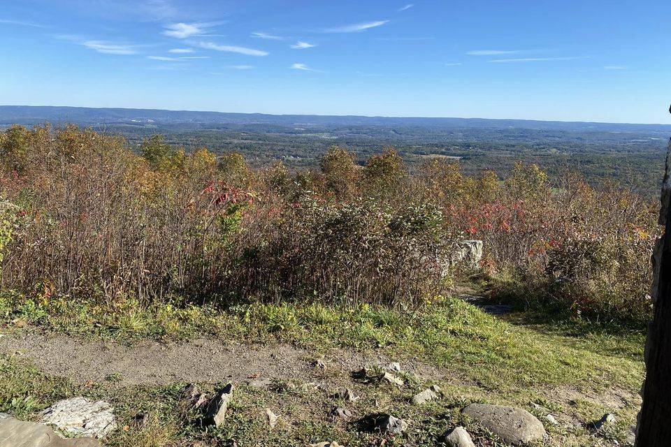 Stokes Forest