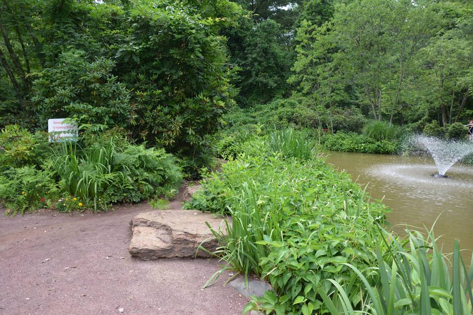 Gorgeous gardens