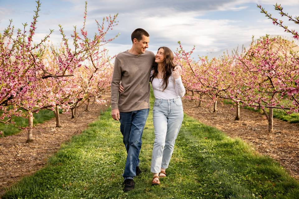 Hudson Valley Engagement