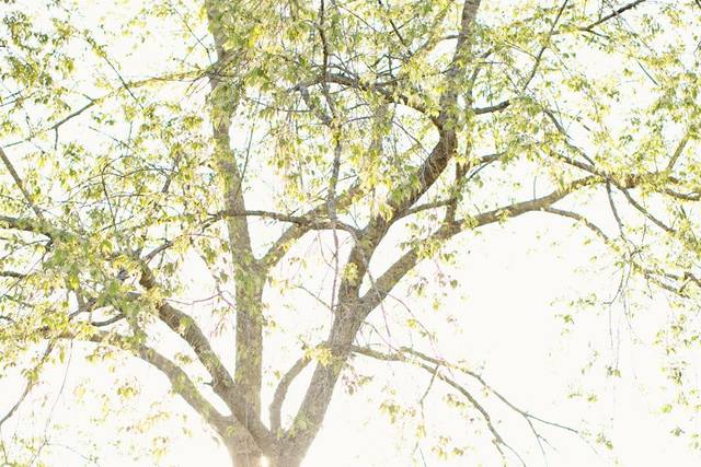 Happy Everything Co.