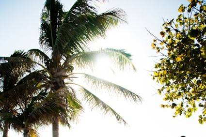 Fort Zachary Taylor State Park