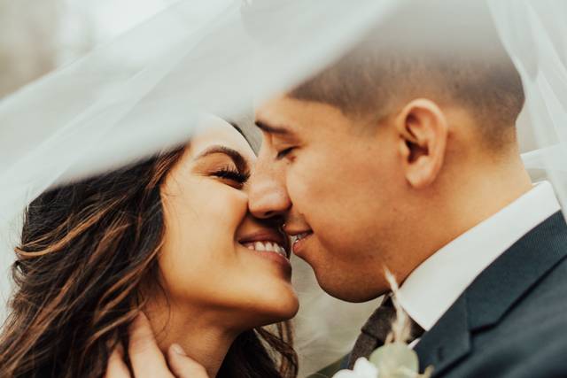 The Doyle Bridals