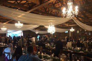 Wedding guest