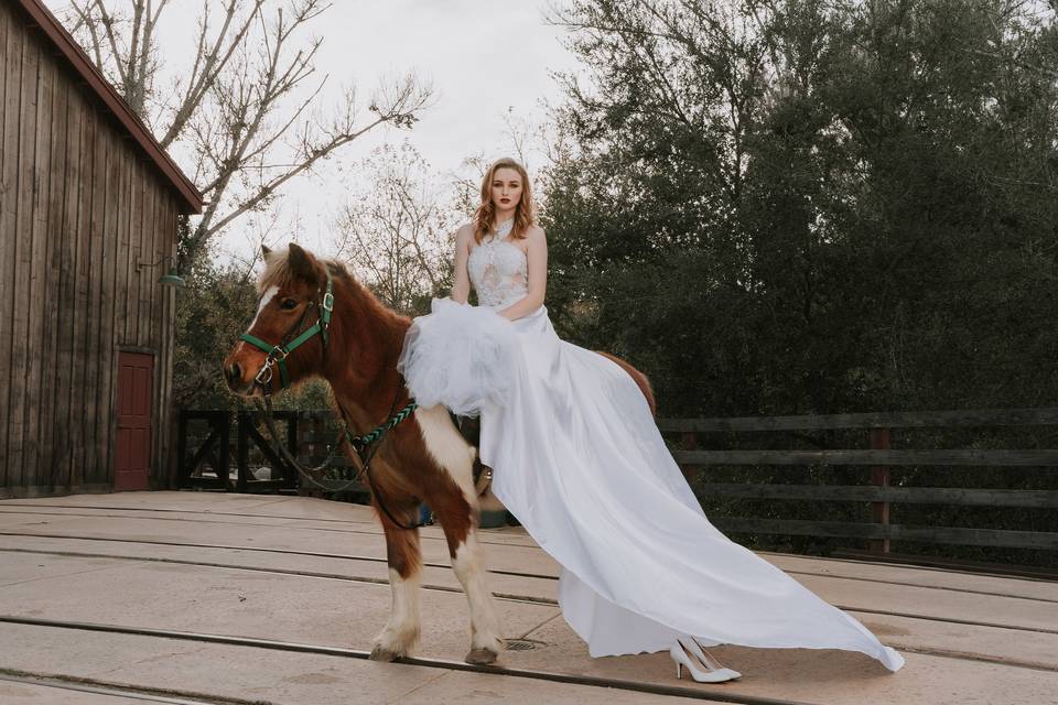 Wedding gown showcase